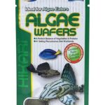 Hikari 21302 Algae Wafers for Pets, 0.70-Ounce